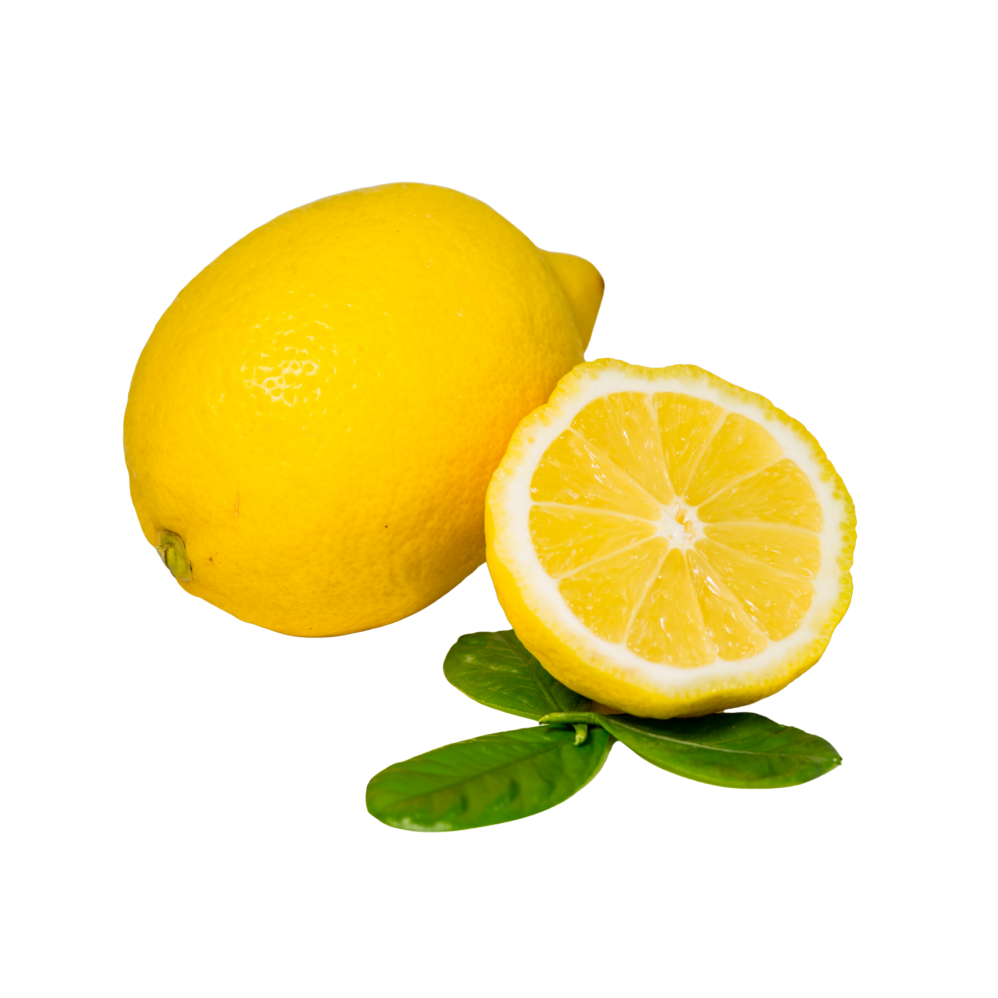 Margarita lime